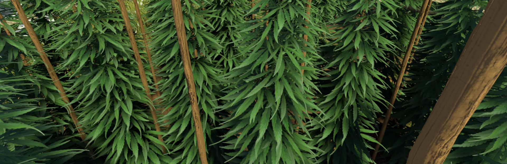 Weed Farmer Simulator 封面