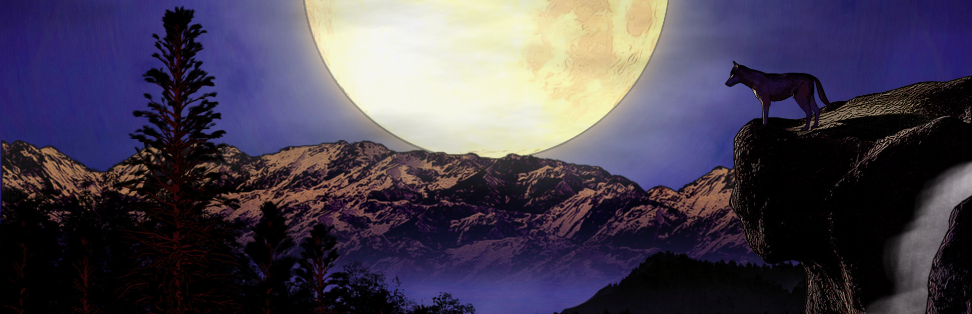 Summit of the Wolf 封面