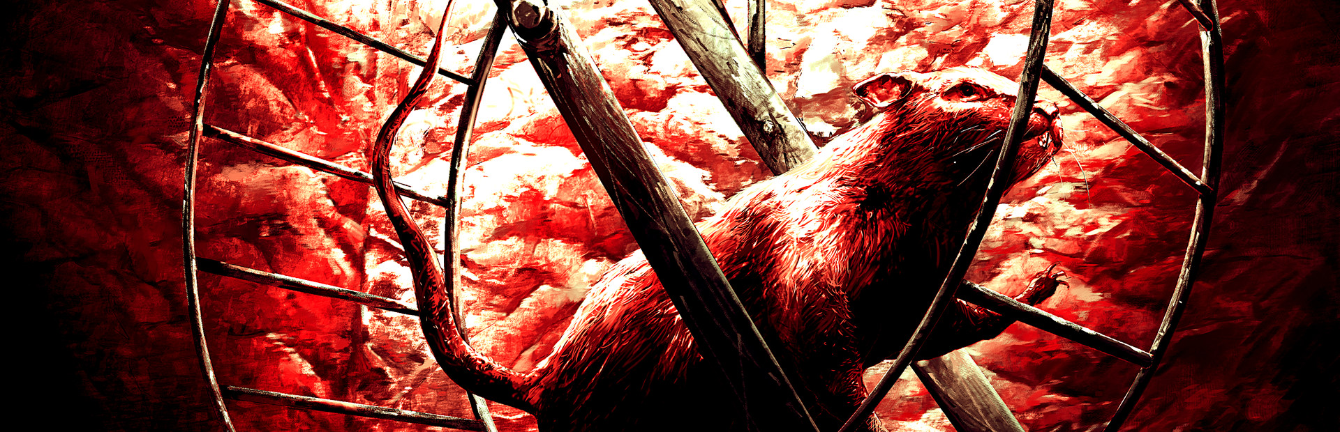Injection π23 'No Name, No Number' 封面