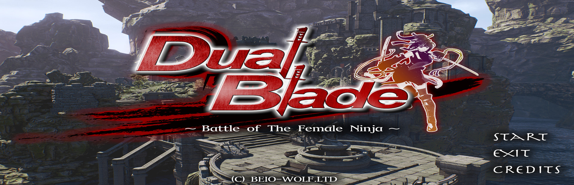 Dual Blade ~ Battle of The Female Ninja ~ 封面