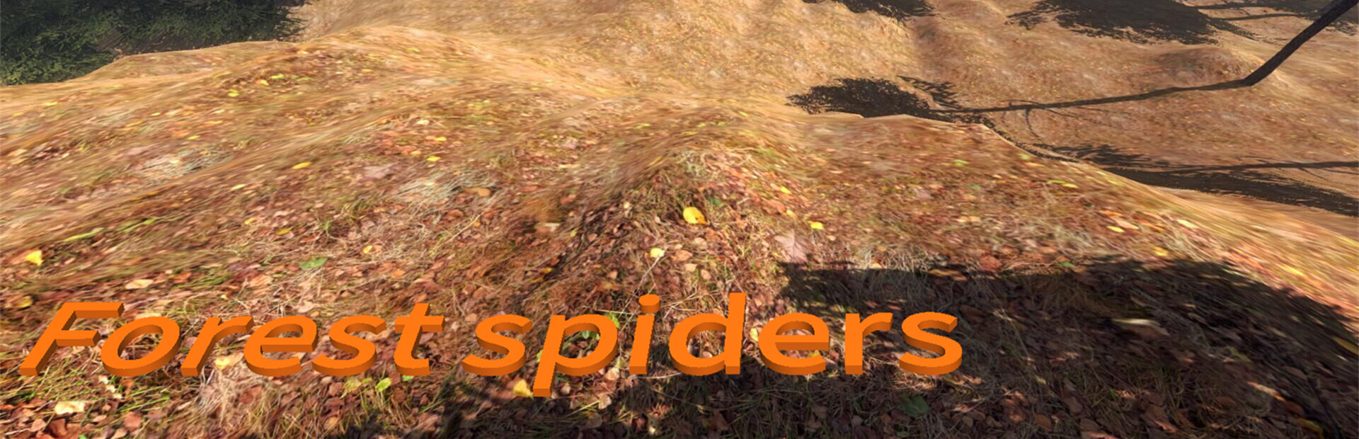 Forest spiders 封面