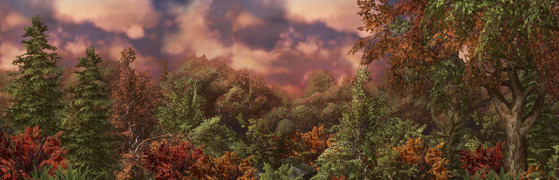 Deep, In the Forest 封面