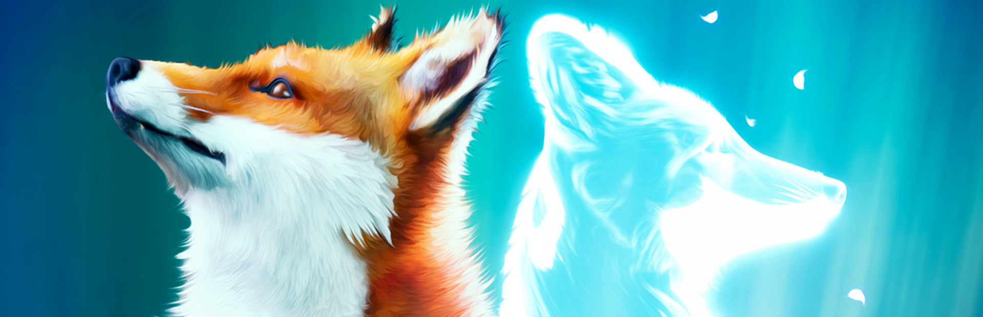 Spirit of the North 封面