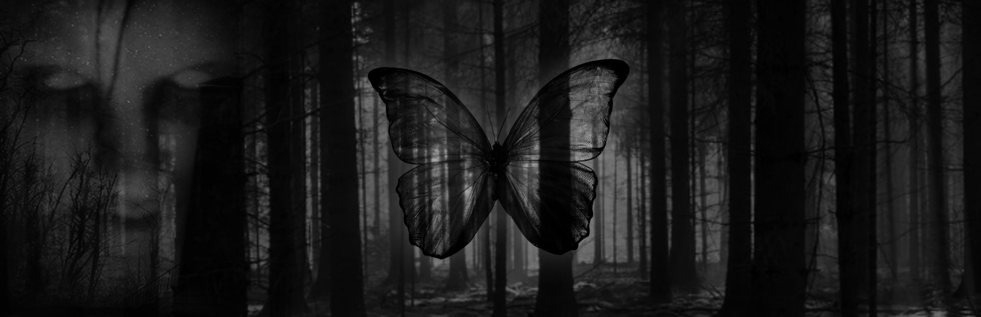 Black Butterfly 封面