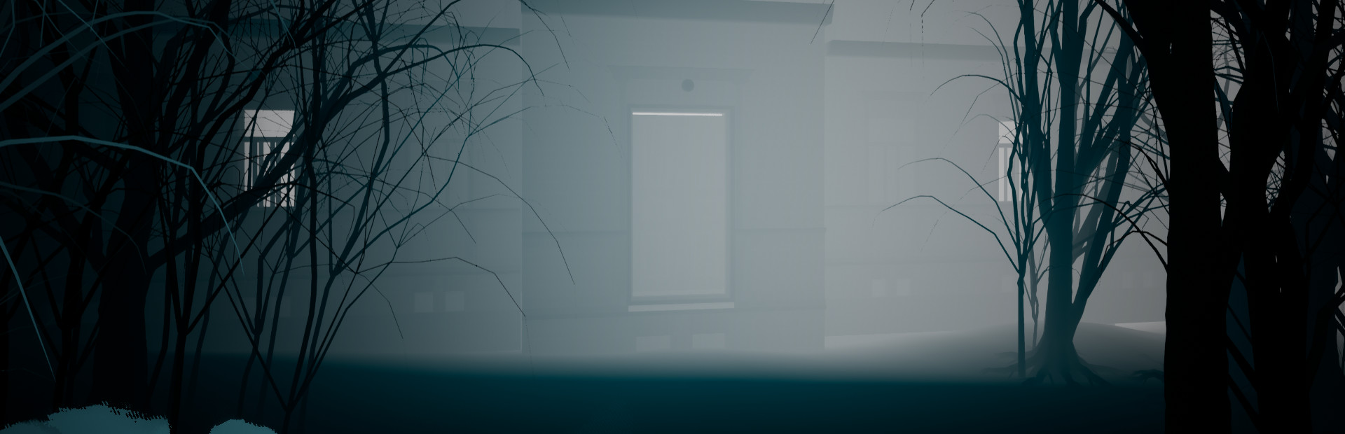 The Sight in a mirror 封面