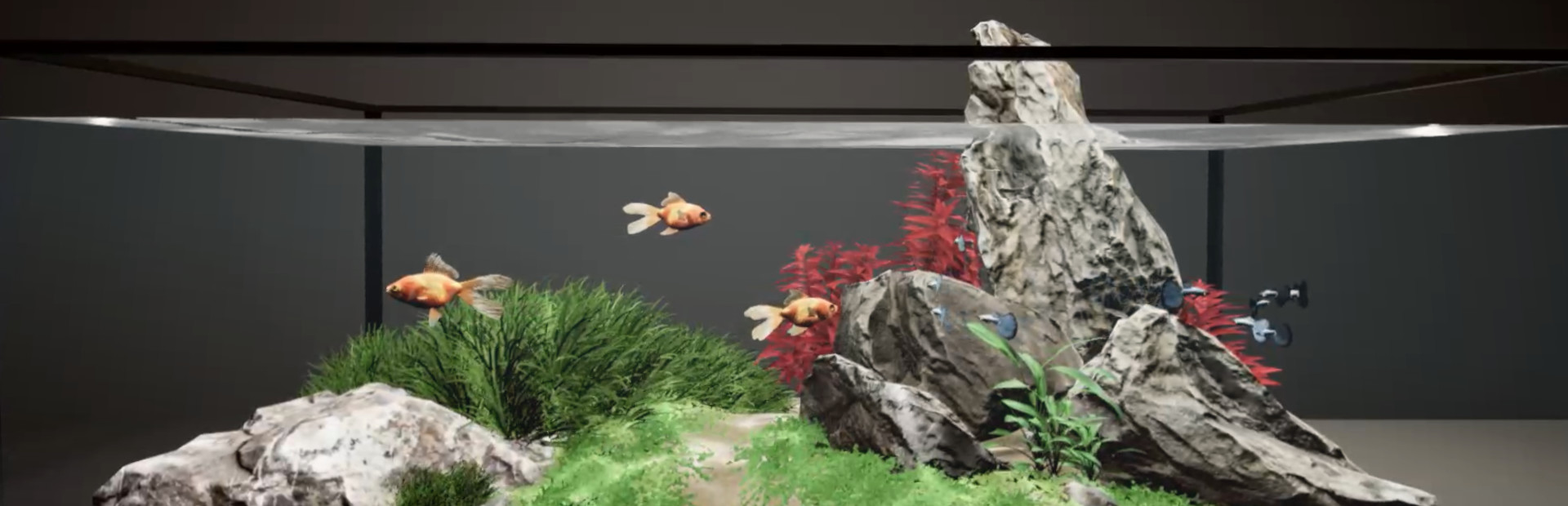 Aquarium Designer 封面