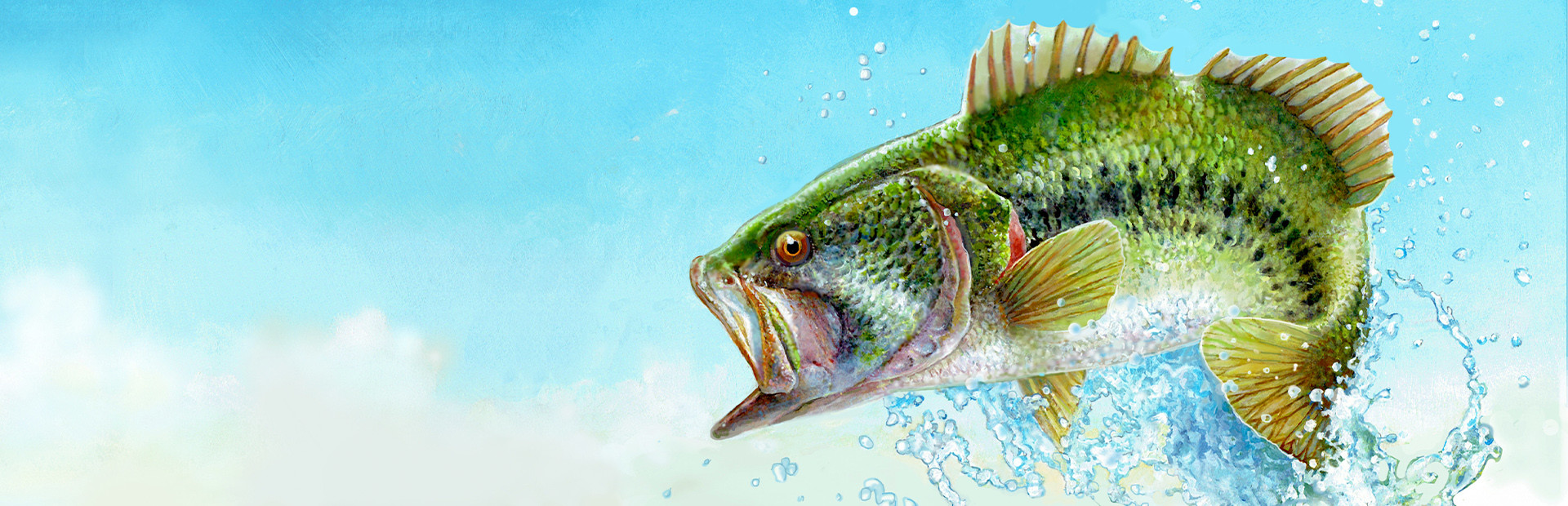 Fishing Sim World: Bass Pro Shops Edition 封面