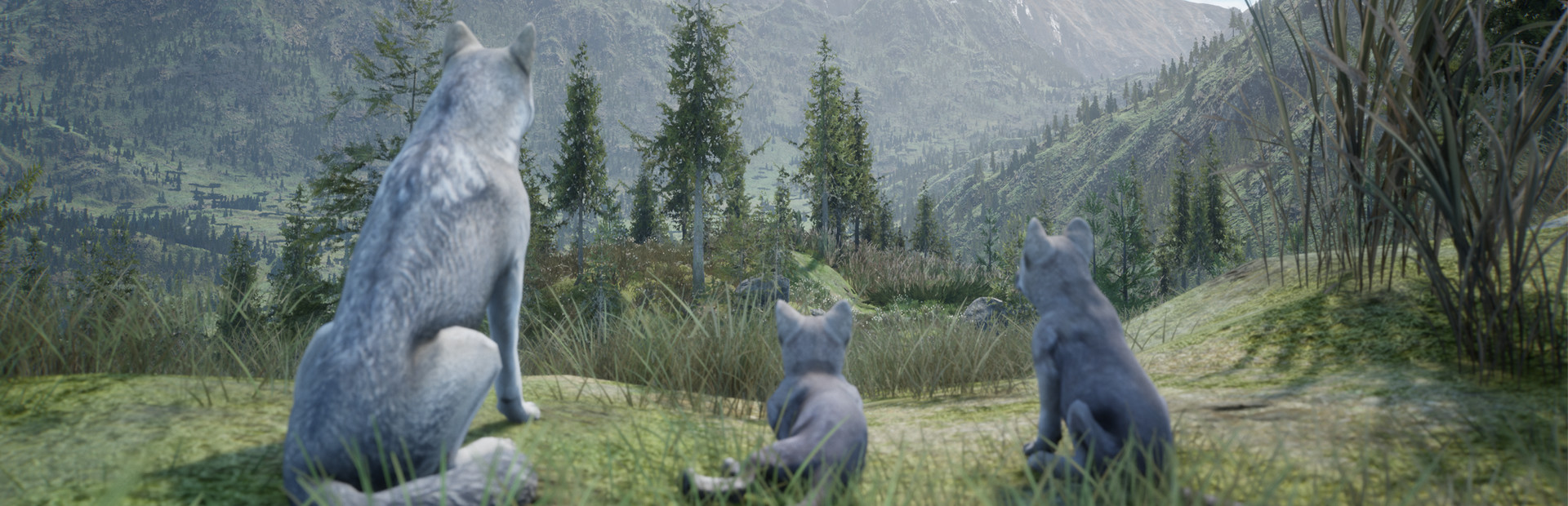 Wilderness 封面