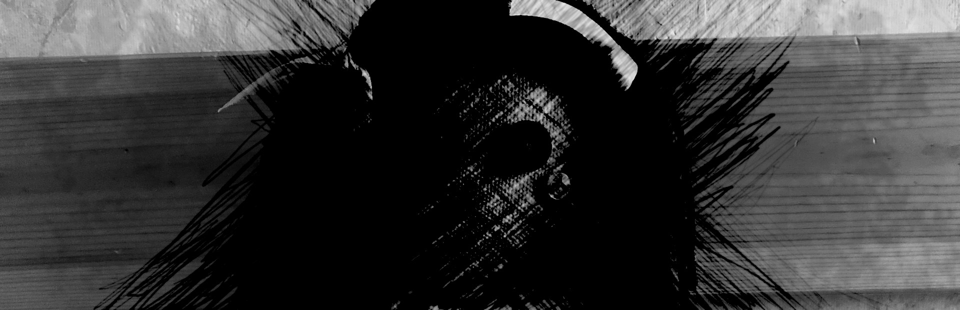 Darkness Under My Bed 封面