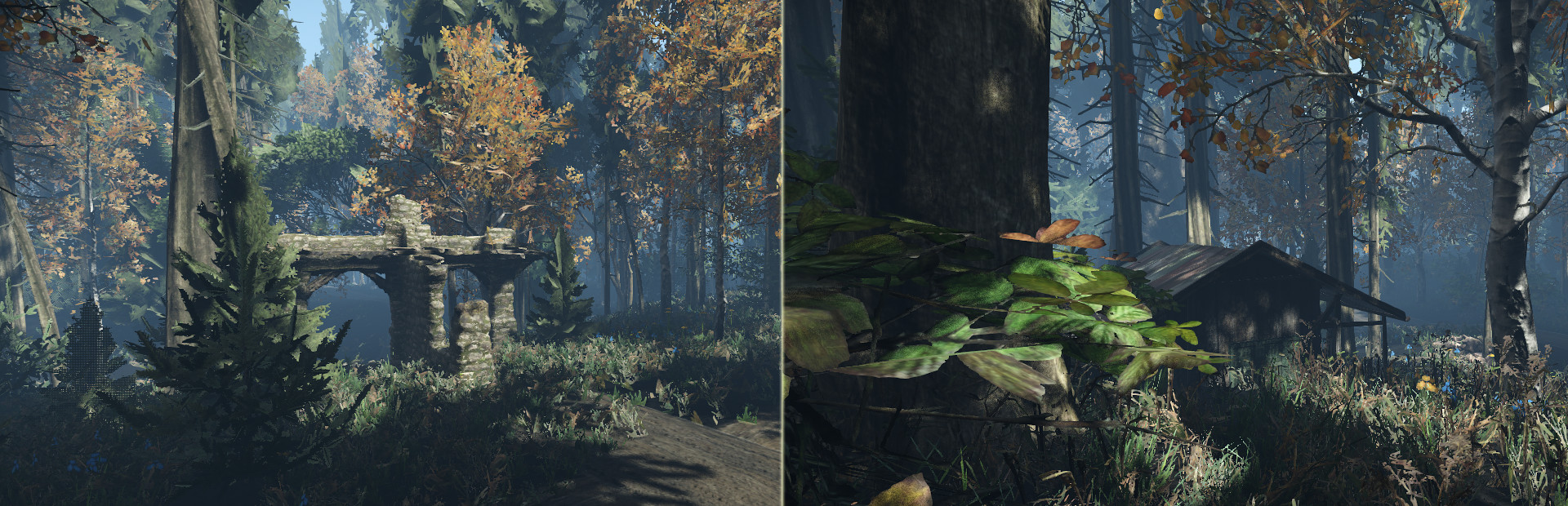 Duty in the Forest 封面