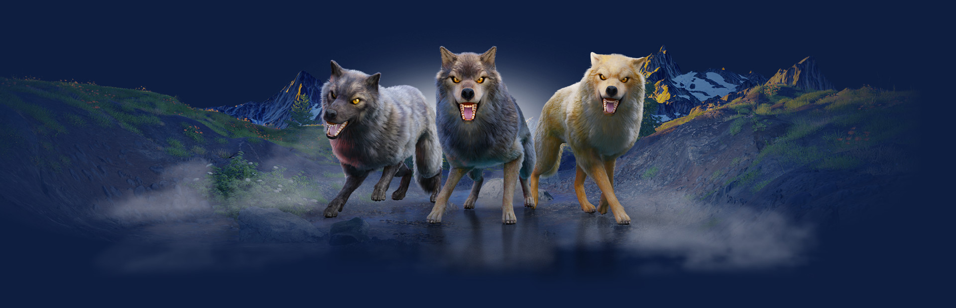 The Wolf 封面