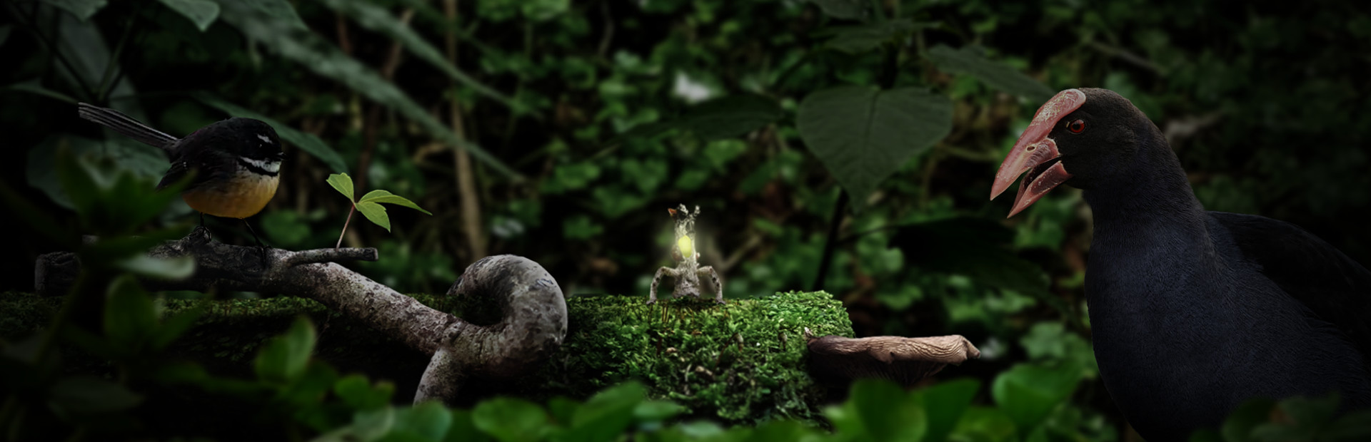 Seedlings 封面