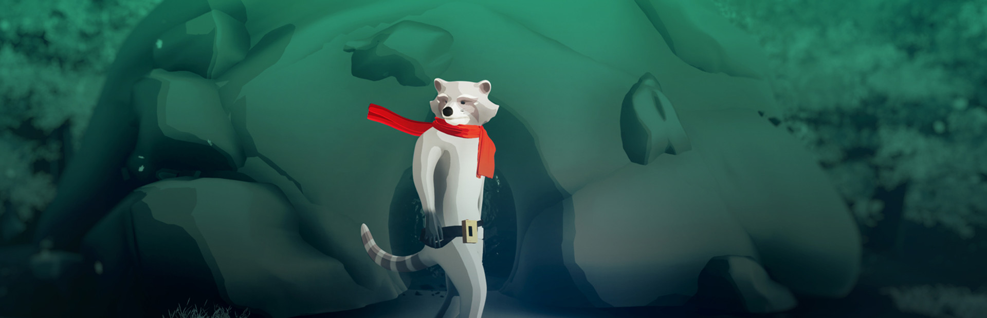 Raccoon Arrival 封面