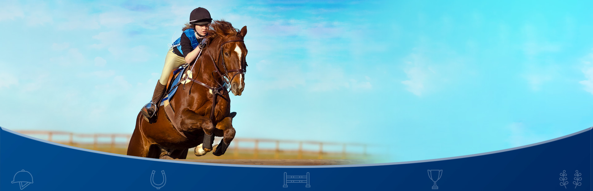 Equestrian Training 封面
