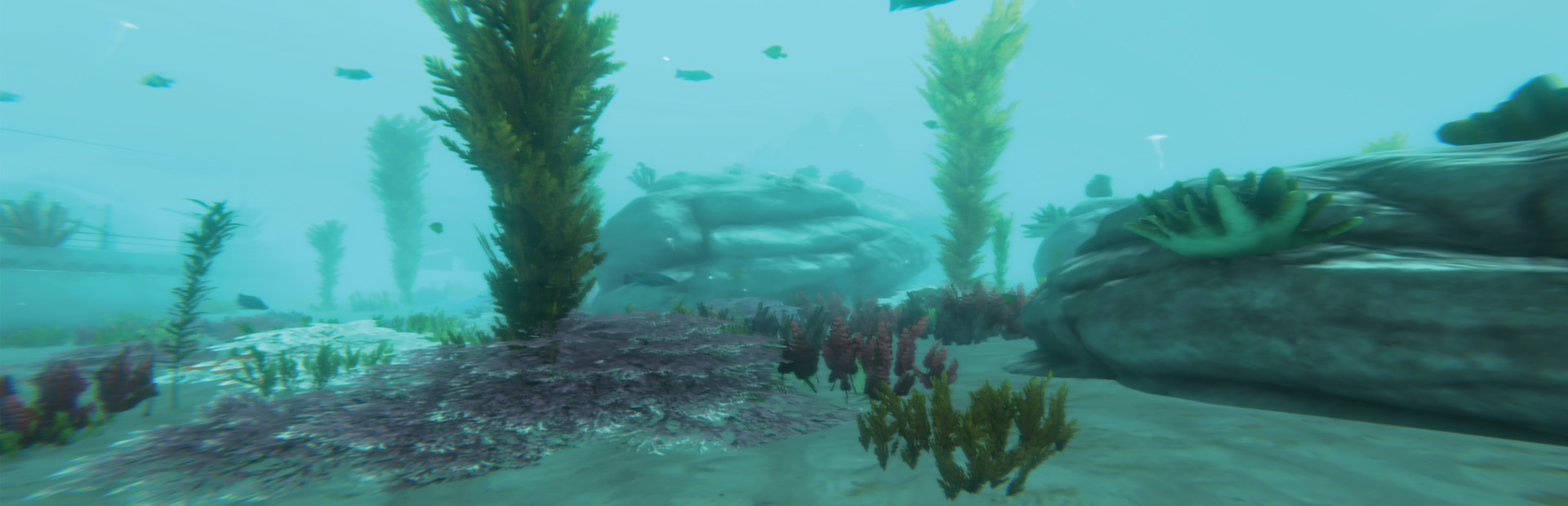 Alpha Shark 封面