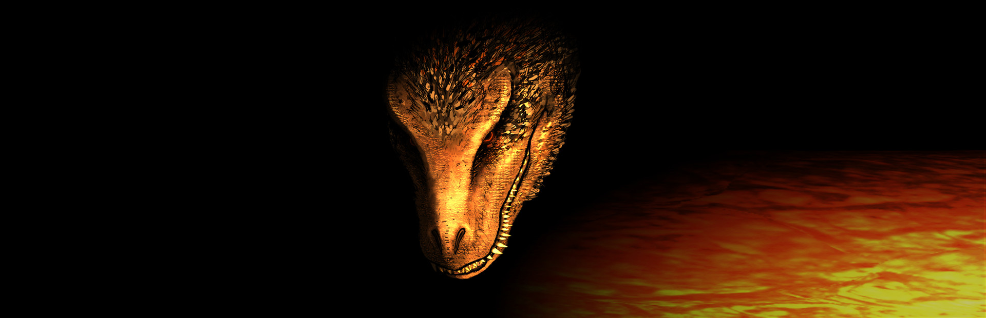 Fire in the Beastlands 封面