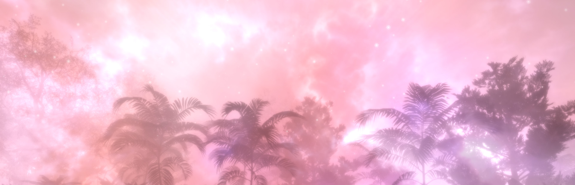 Hidden Treasures in the Forest of Dreams 封面