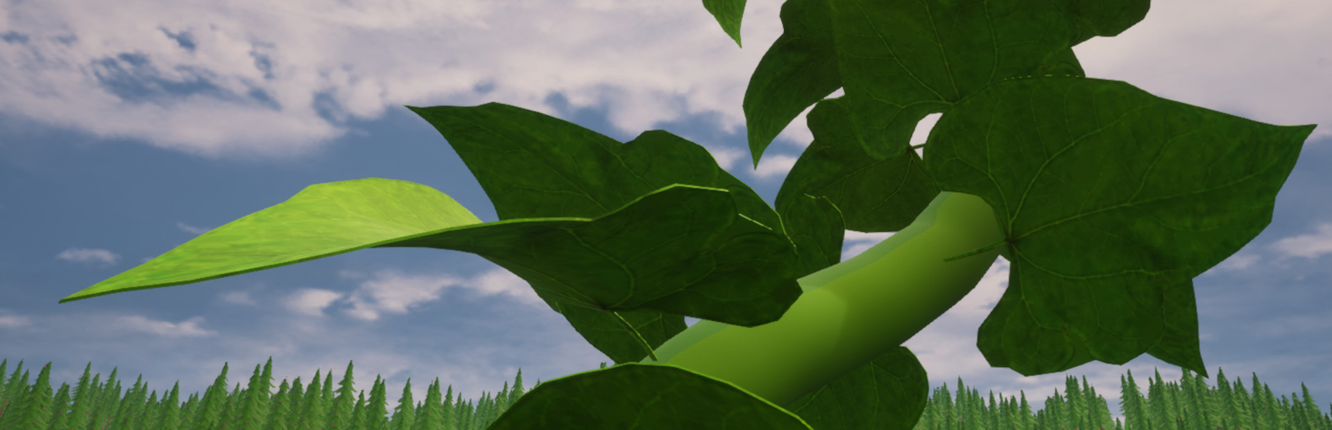 Beanstalk 封面