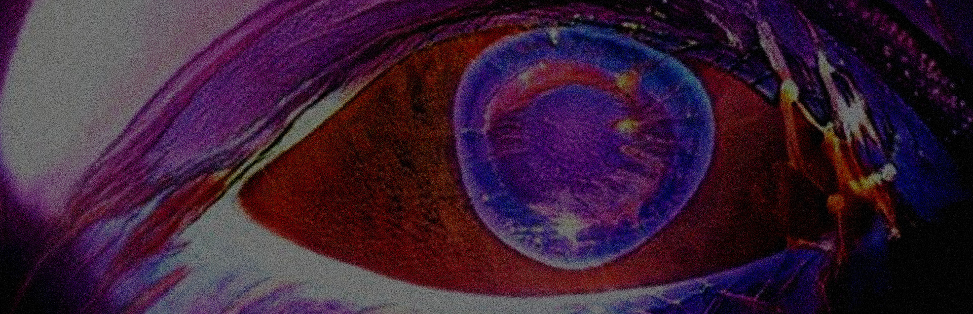 Witness of the Night 封面