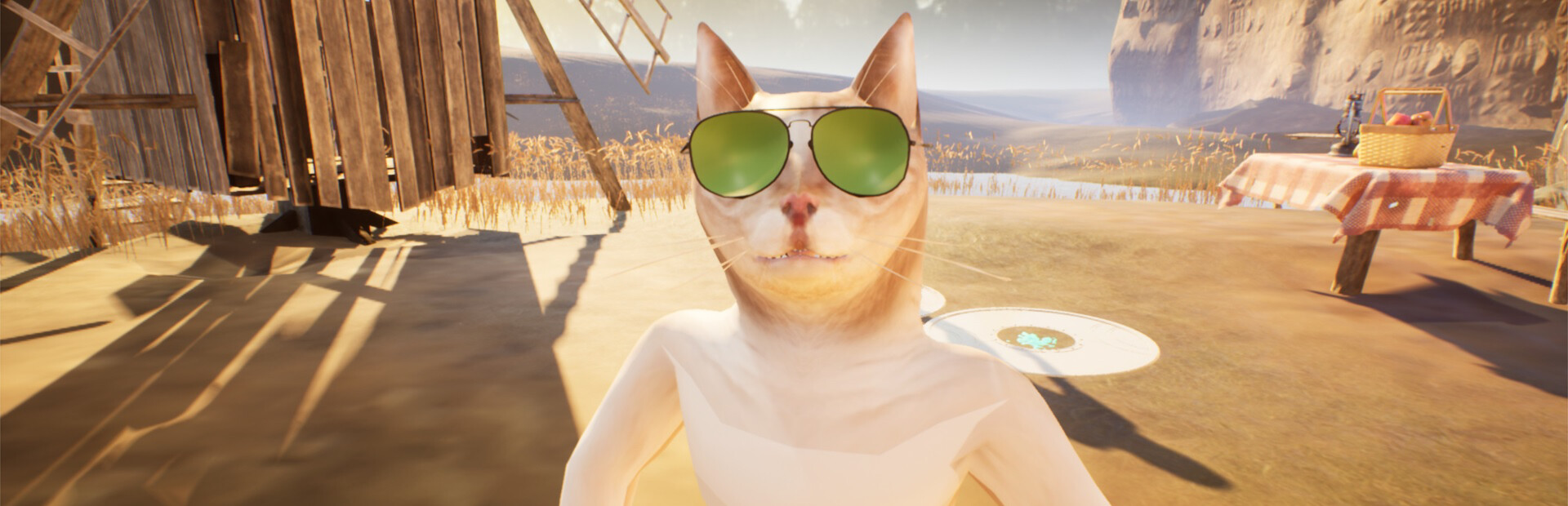 SIMBA THE CAT 封面