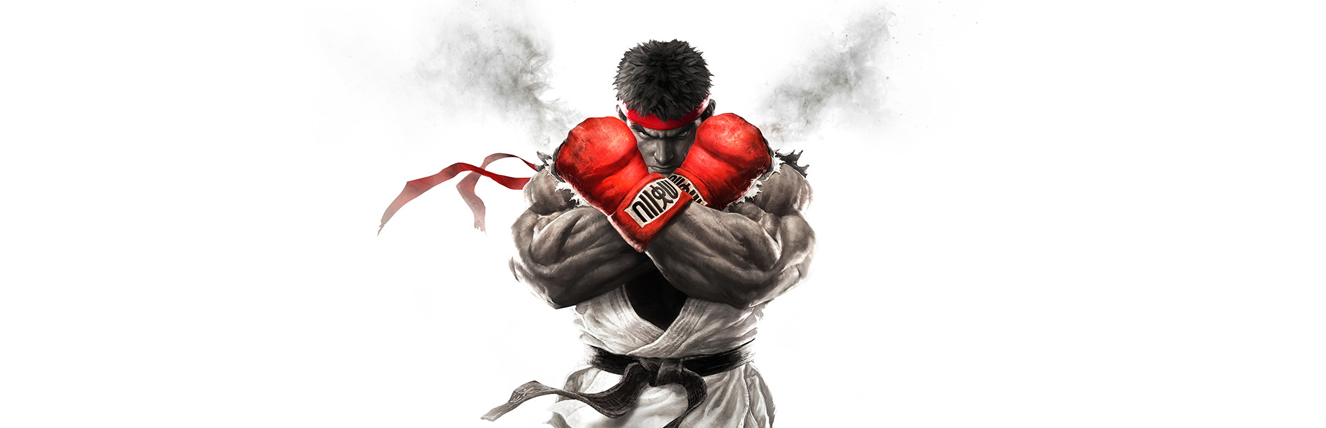 Street Fighter V 封面