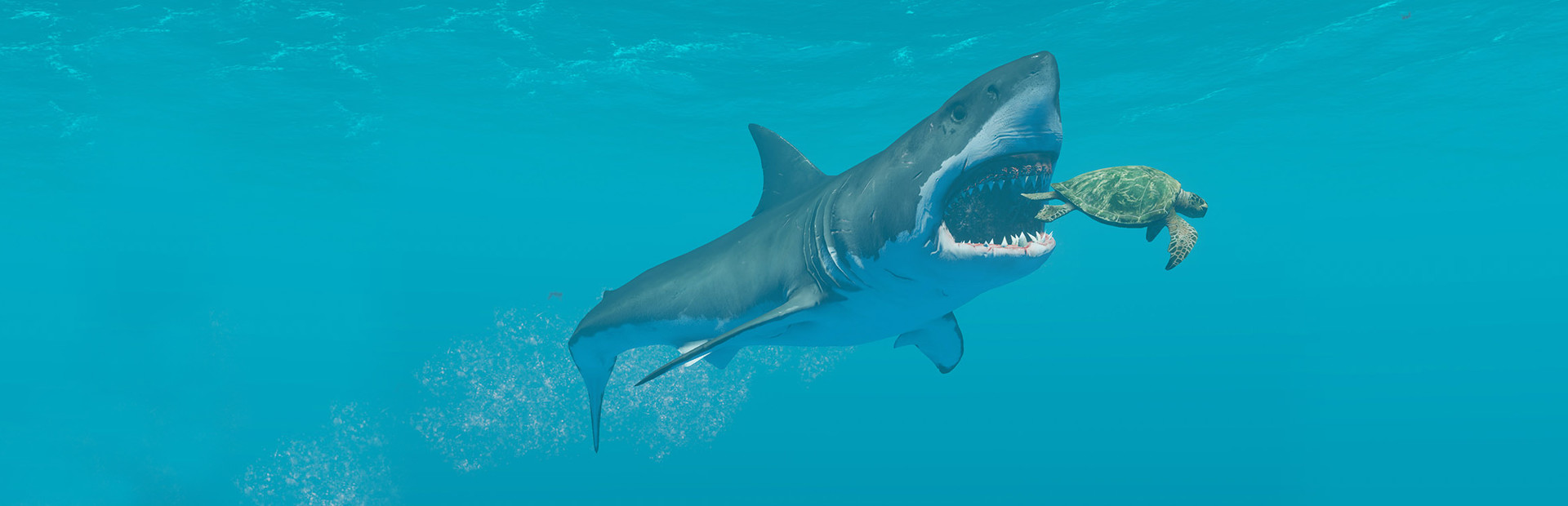 Stranded Deep 封面