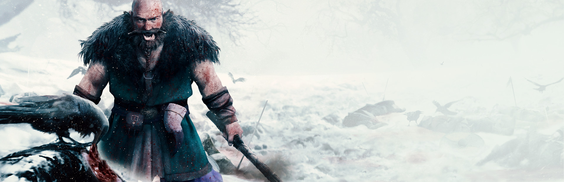 Expeditions: Viking 封面