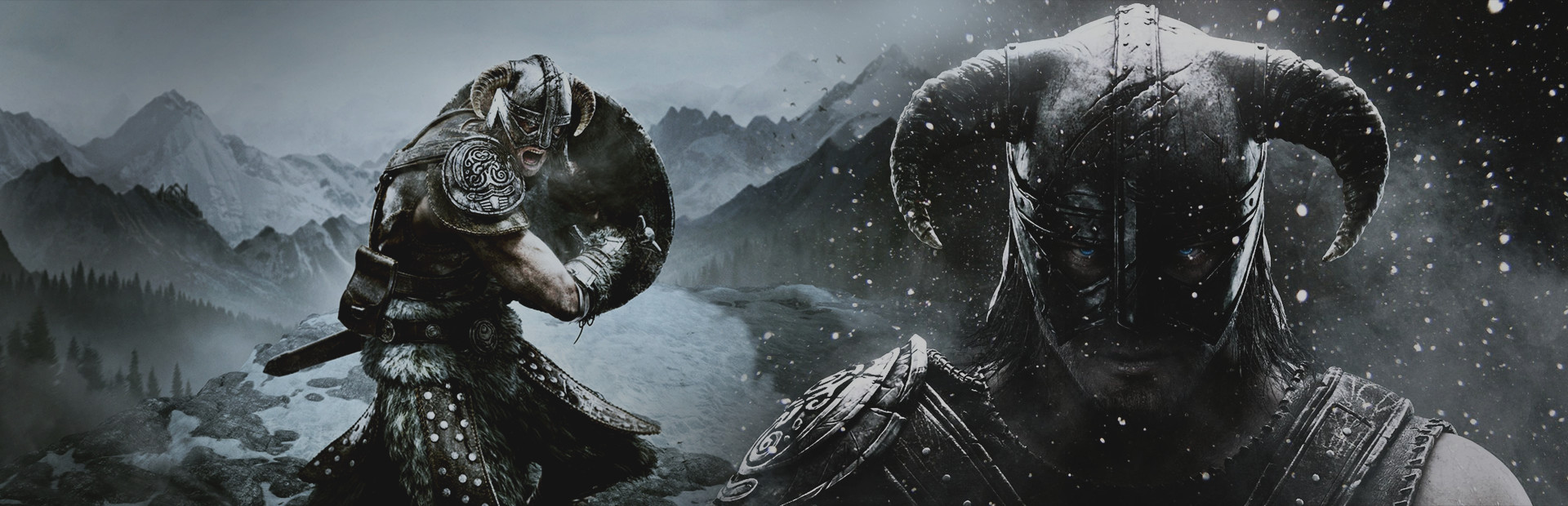 The Elder Scrolls V: Skyrim Special Edition 封面