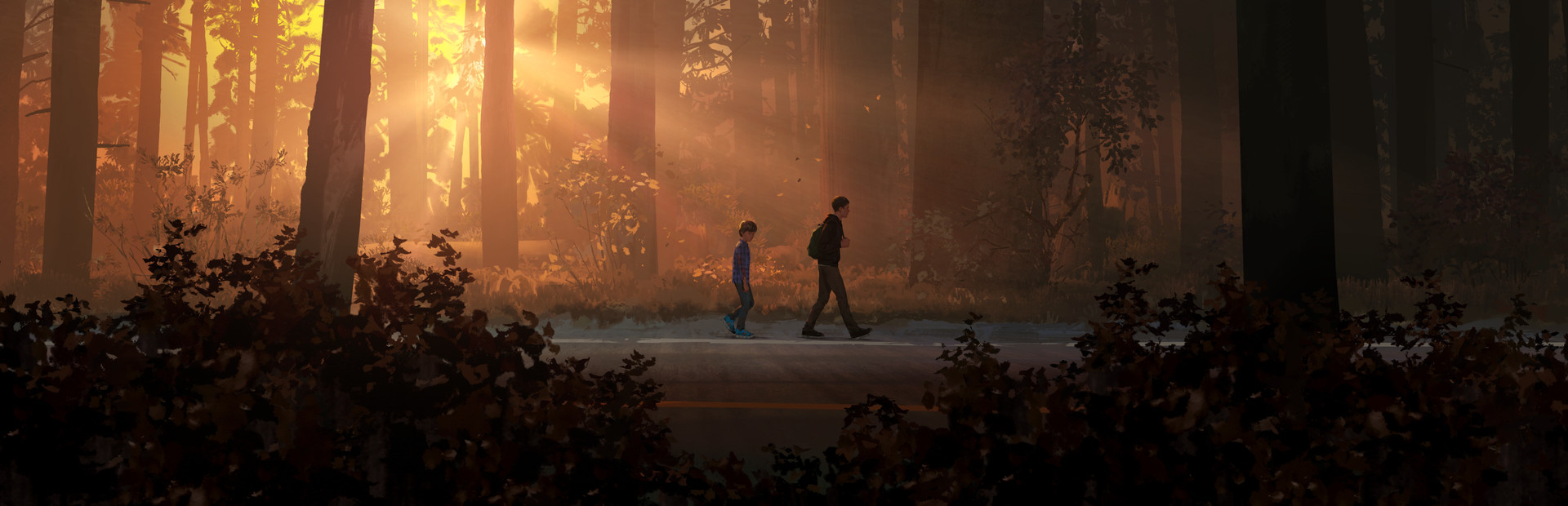 Life is Strange 2 封面