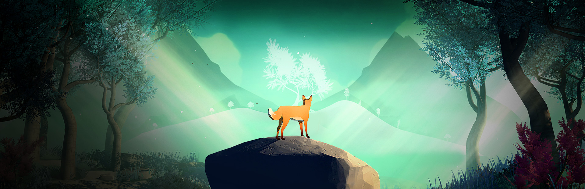The First Tree 封面