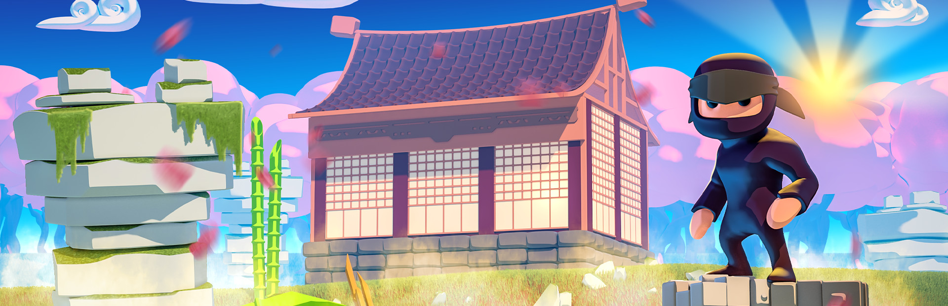 Mad Dojo 封面