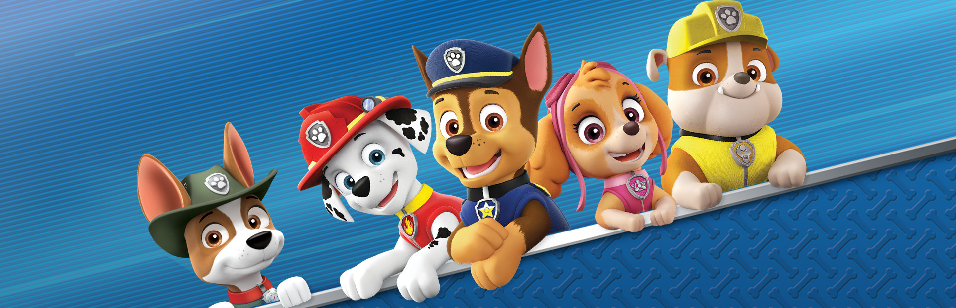 Paw Patrol: On A Roll! 封面