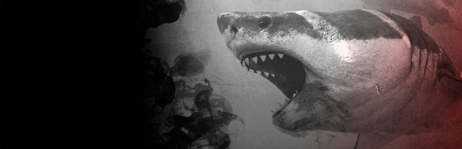 Death in the Water 封面