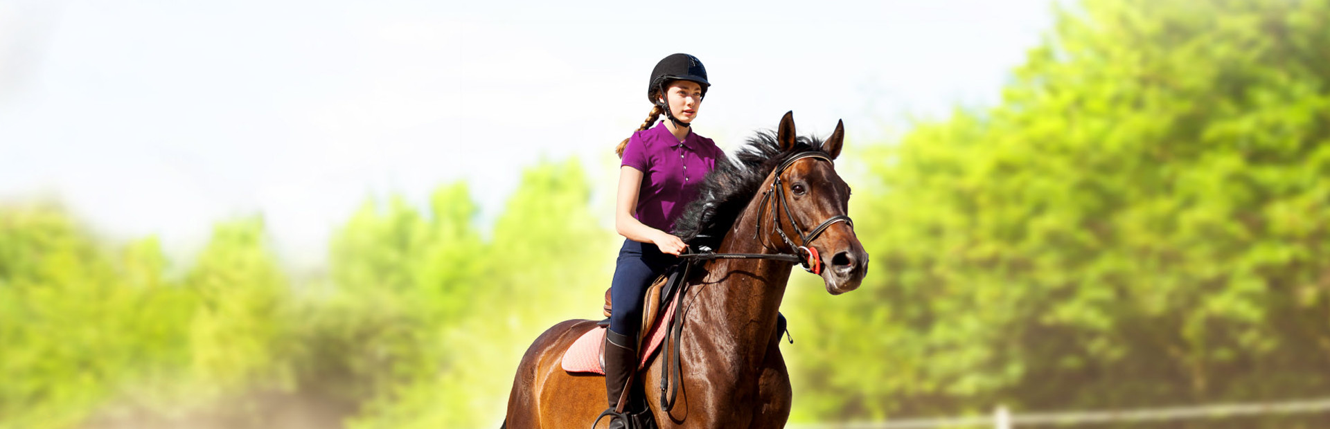 My Little Riding Champion 封面