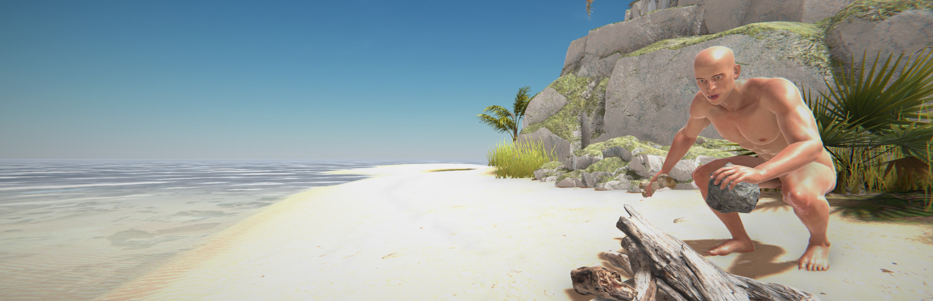 Hand Simulator: Survival 封面