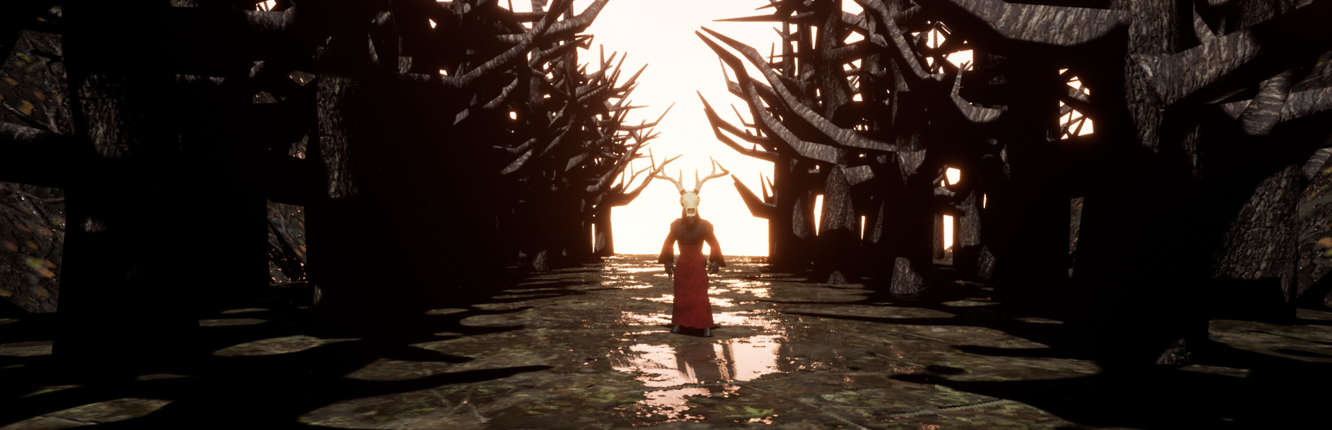 Bloom 封面