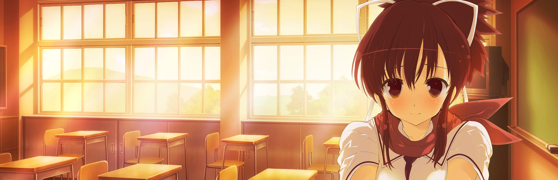 SENRAN KAGURA Reflexions 封面